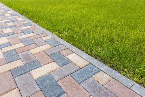 Best Driveway Paving Contractor  in Thompsons Station, TN
